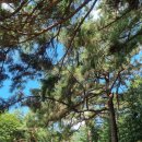 평동농장 이미지