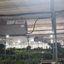 미르농장 이미지