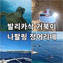 뚝딱투어 | 보홀 발리카삭 나팔링 현지업체 뚝딱투어 이용 후기
