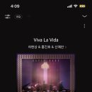 비바즈