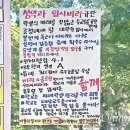 이수진 대학원 박사 졸업 리사이틀 | 성악과 입시비리 규탄하는 대자보 내용