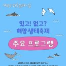 제15회 남방큰돌고래의 날 주요 프로그램 안내 이미지