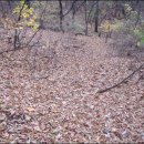 분당정(국궁장) 이미지