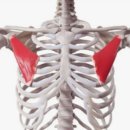 45GYM범계점 이미지