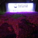 갤러리순 이미지