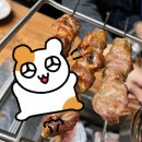 야탑 이가네양꼬치 X세대 입맛 콜 판교본점보다 맛있다