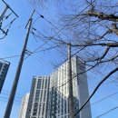 (주)프롬제인