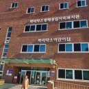 닥스 종합 이미지