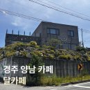 달카페 - 서대문구 증가로 118 | [경주 양남 카페] 가족모임하기 좋은 '달카페' 내돈내산 후기🌙