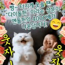 웃자웃자 이미지