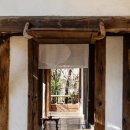 스테이아호이 이미지