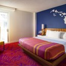 라인호텔 이미지