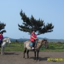 즐거운목장 이미지