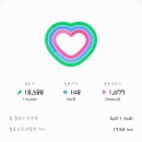 [러닝시도] 2024년 안산마라톤대회 10km&amp;대부도포도축제 참여후기