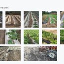 주식회사 월드 이미지