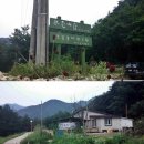 진부꽃차 이미지