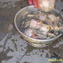 장선포2 이미지