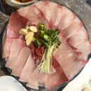 동해시-23 | [대구 진천동 맛집] 진천역 술집 찾는다면?동해횟집에서 먹은 제철 대방어 후기
