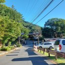 황금우렁쌈밥 이미지