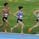 영천시청 이미지