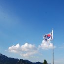 강구약품 이미지