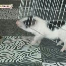 민지 농장 이미지
