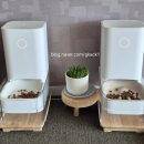 고양이집사 | 고양이풀 먹방 후기, 집사 손맛 필수