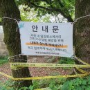 위험안내표지판-7 티스토리