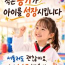 수문태권도 네이버블로그