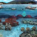 추진목장 이미지