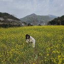 힐링스케치 이미지