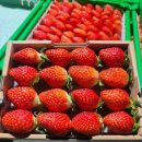 영천농장 이미지