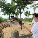 소안풀빌라 | 5개월 21개월아기랑 다낭여행 일정추천