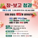 장보고청과