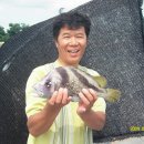 해성낚시터 이미지