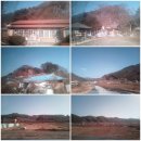 국립백두대간수목원 방문자센터 | [2025.11.29] 봉화여행 1. 국립백두대간 수목원+방문자센터 전시 :호랑이기운 받으러