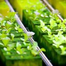 (주)베델시스템 이미지