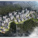 포레스트541 이미지