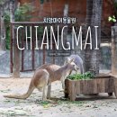 아리움쇼핑 | 치앙마이 아이랑 가볼만한곳 동물원 입장료 위치