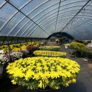 보령문화의전당 이미지