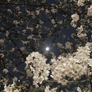 서울미치과 이미지