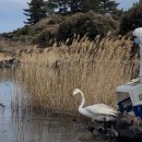 빛의 집Ⅱ-집에서 이미지