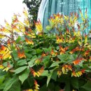 은선목장 이미지