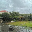 애월 in 민박 이미지