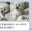 프프프스토어 이미지