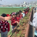 하늘꿈의유치원 이미지