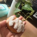불광역 ‘빵그램키토베이크샵’ 후기-밀가루 대신 아몬드 가루로 만든 소금빵과 디저트