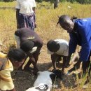 지역아동센터스스로,함께 이미지