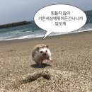 한솔공업사 | 시험공부하기 싫어서 쓰는 언제인지 기억도 잘 나지 않는 개강 일기