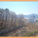 운정금강공인중개사사무소 이미지